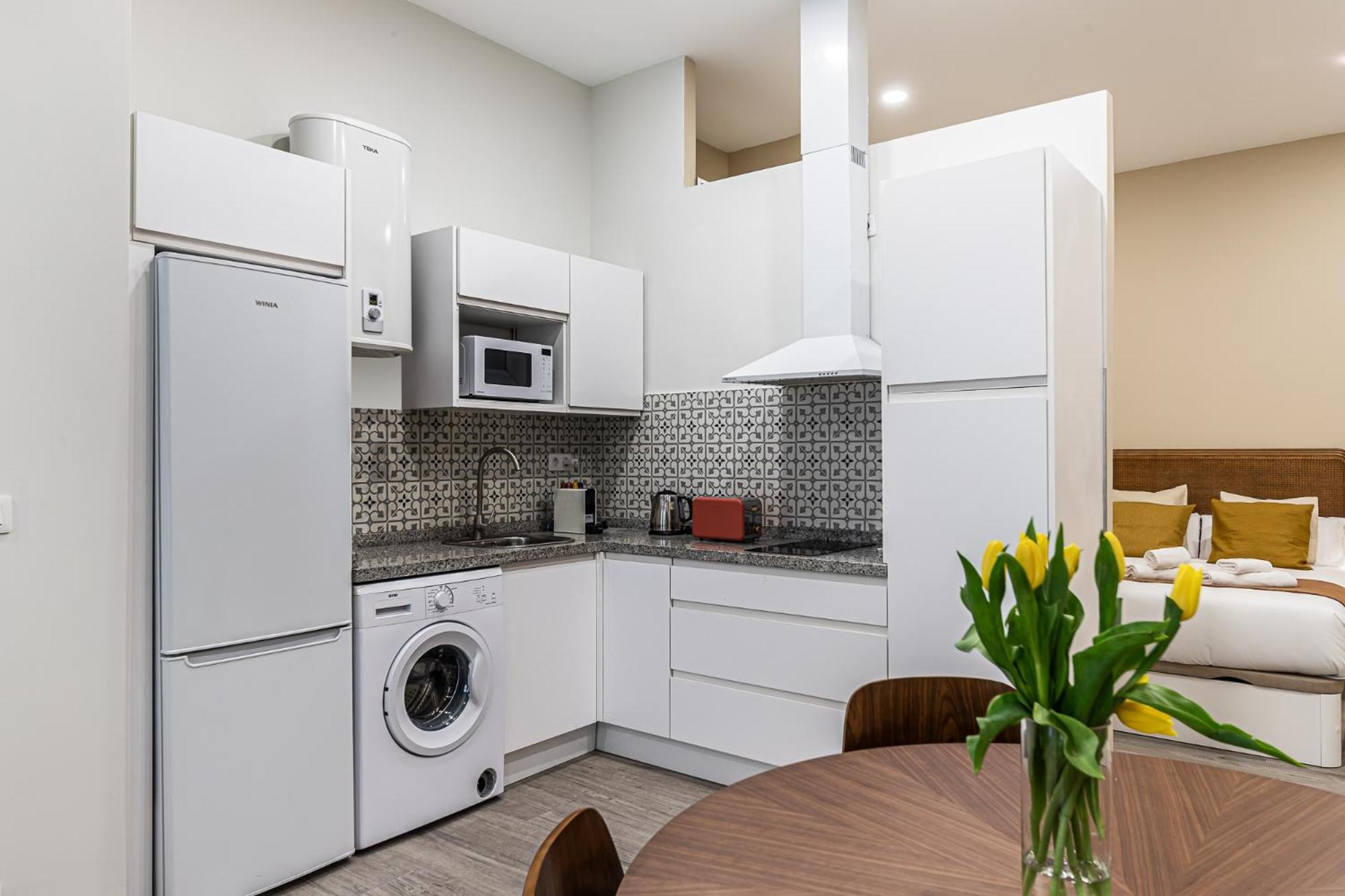 Apartamento Waou Museo Bellas Artes *
